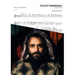 Velvet Mornings
