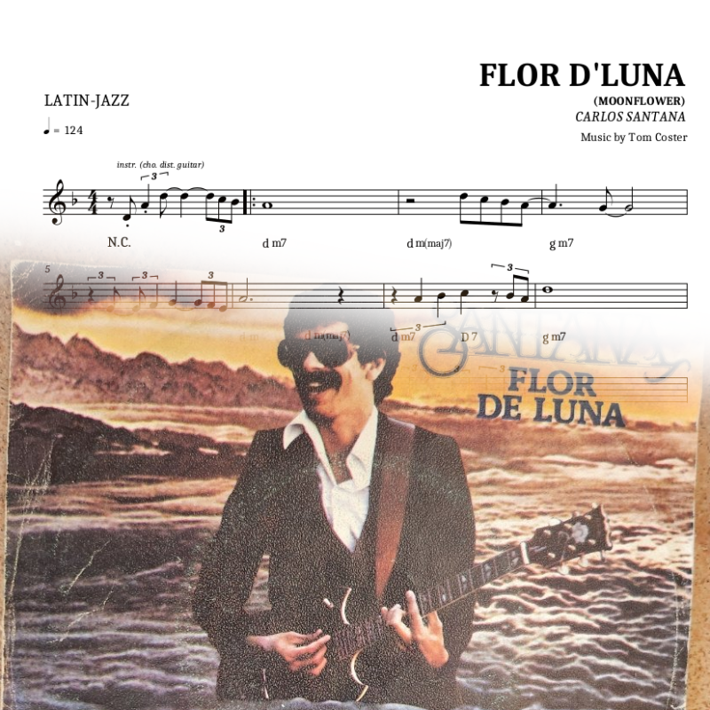 Flor D'Luna (Moonflower)