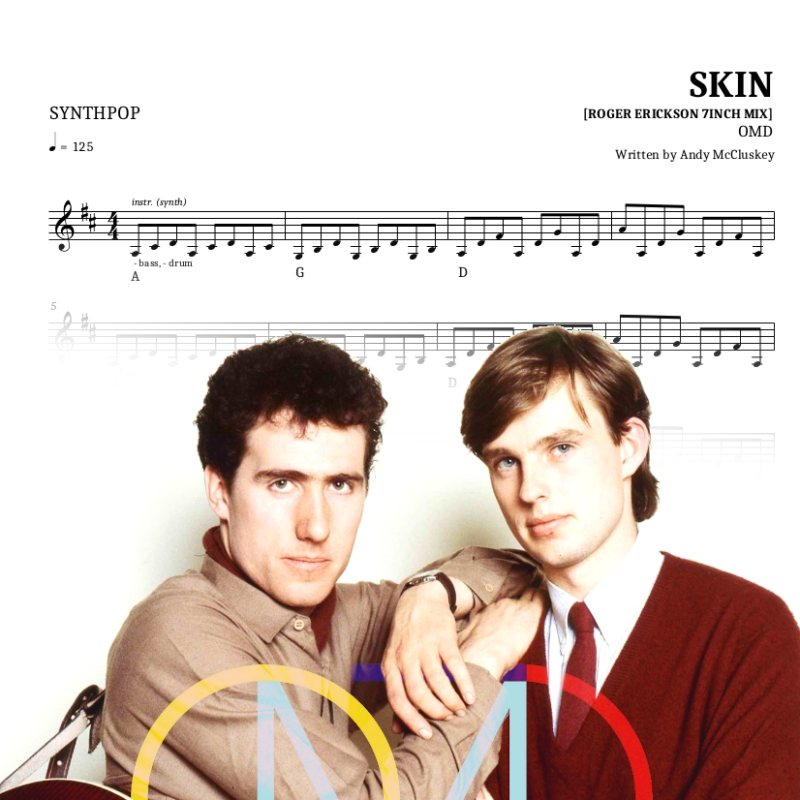Skin [Roger Erickson 7inch Mix]