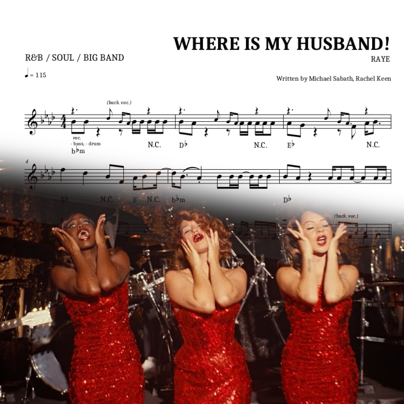 Where Is My Husband!