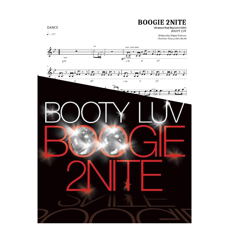 Boogie 2Nite [Seamus Haji Big Love Edit]